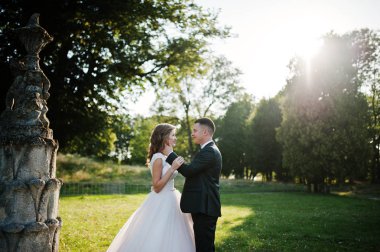 Sevimli yeni evli çift thei üzerinde eski bir çeşme yanında poz