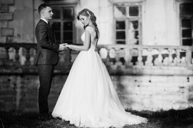 Eski bir ortaçağ castl önünde poz muhteşem Düğün çifti