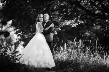 Yeni evli çift ormandaki birbirlerinin şirket zevk