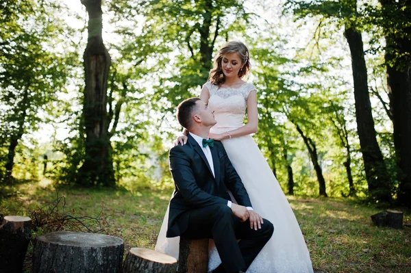 Beau marié assis sur une souche tandis que la mariée debout à côté de salut — Photo