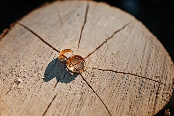 Close-up photo Złote obrączki na drewniane potknięcie — Zdjęcie stockowe