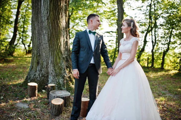 Très beau couple de mariage marchant dans la forêt sur un w ensoleillé — Photo