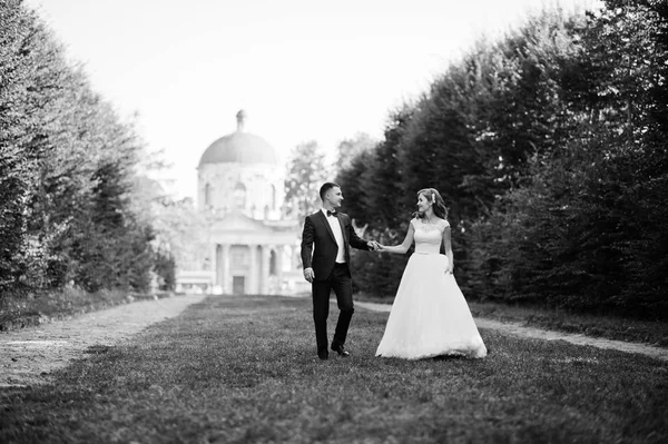 Lovely wedding couple walking along the green alley which leads — Stock Photo, Image