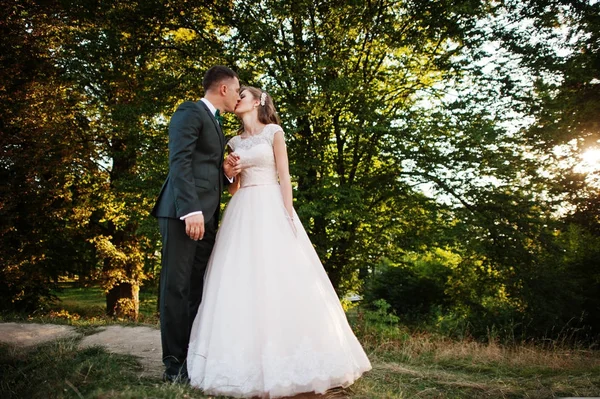 Casamento recém-casado casal gostando da companhia um do outro e beijando i — Fotografia de Stock