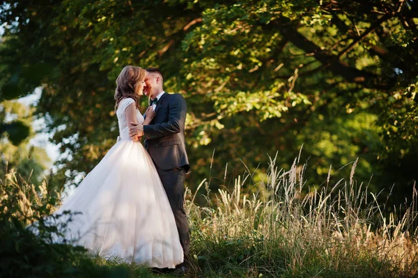 Casamento recém-casado casal gostando da companhia um do outro e beijando i — Fotografia de Stock