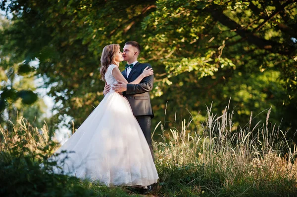 Casal recém-casado curtindo a companhia um do outro na floresta — Fotografia de Stock