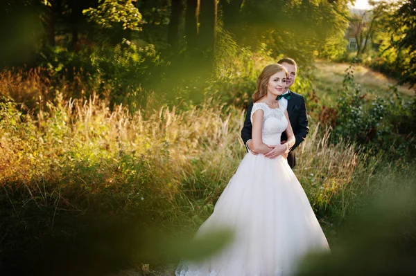 Pareja recién casada disfrutando de la compañía del otro en el bosque —  Fotos de Stock