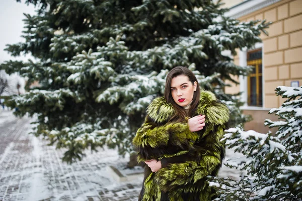 Brunette fille en manteau de fourrure vert à la journée d'hiver contre le pin neigeux — Photo