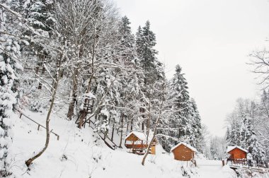 Çam ağaçları orman tarafından kar kaplı ahşap evde. Güzel kazanmak