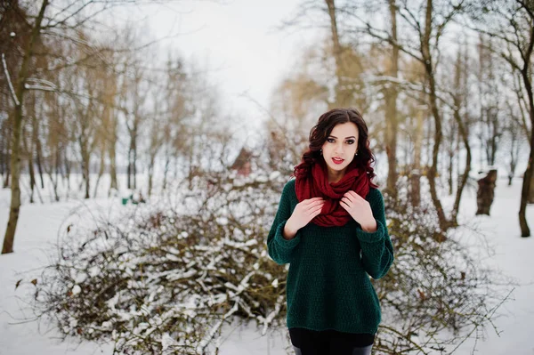 Брюнетка дівчина в зеленому светрі і червоний шарф відкритий ввечері — стокове фото