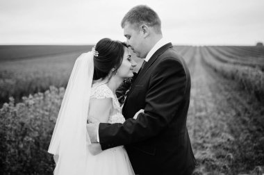 Blackcurrant sahada poz çekici genç Düğün çifti