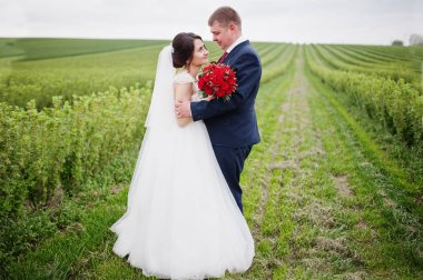 Blackcurrant sahada poz çekici genç Düğün çifti