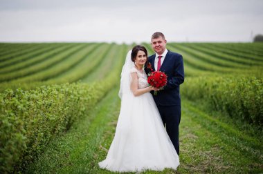 Blackcurrant sahada poz çekici genç Düğün çifti