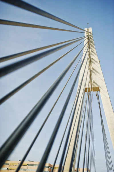 Tall white bridge in a city. Close-up photo of its ropes.