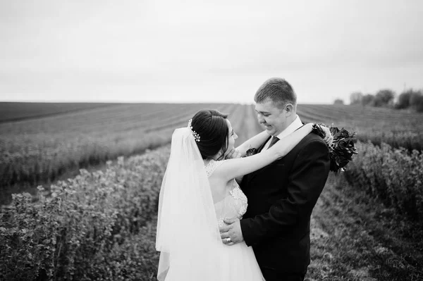 ブラックカラント フィールドでポーズ魅力的な若い結婚式のカップル — ストック写真