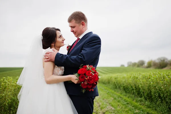 Attractive young wedding couple posing on the blackcurrant field — Stock Photo, Image