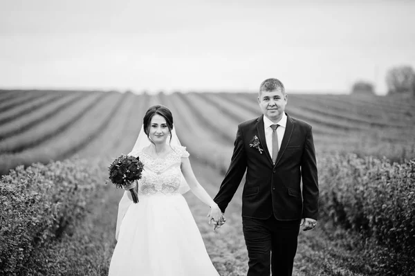 Attraente giovane coppia di nozze in posa sul campo di ribes nero — Foto Stock