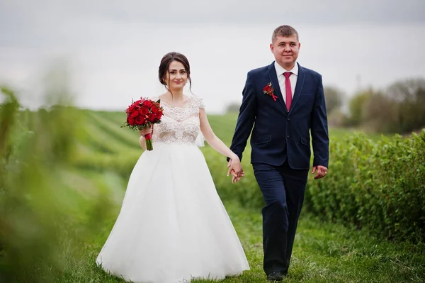Ελκυστική νεαρή γαμήλιο ζεύγος ποζάρει στο πεδίο των ριβησίων — Φωτογραφία Αρχείου