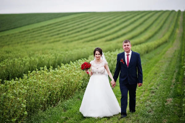 Attrayant jeune couple de mariage posant sur le champ de cassis — Photo