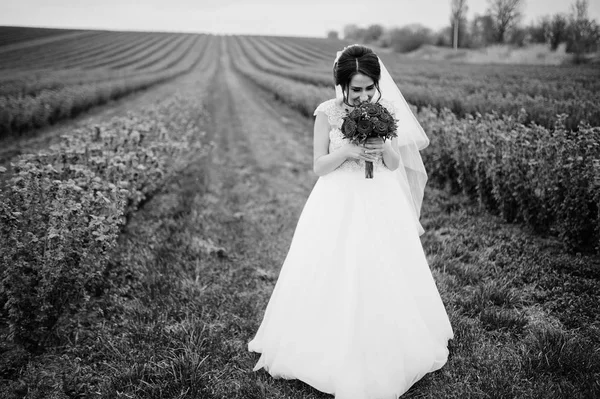 Portrait of a gentle beautiful bride posing with her red wedding — Stock Photo, Image