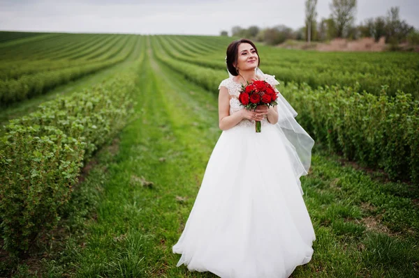 Portrait d'une belle mariée douce posant avec son mariage rouge — Photo