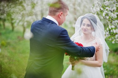 Muhteşem yeni evli çift çiçek açması bahçede poz