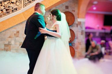 Mutlu genç Düğün çifti ilk dansları ile farklı dans