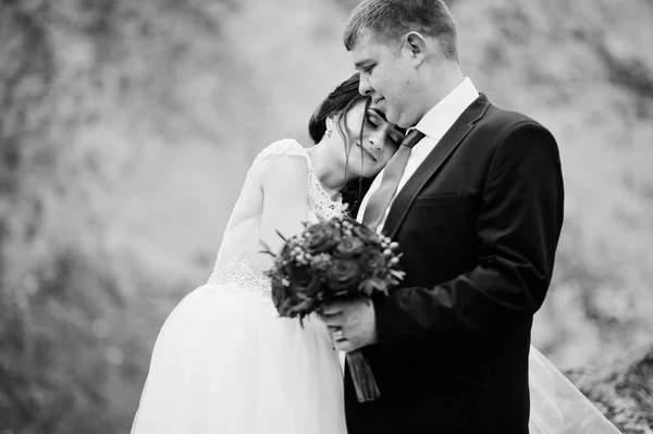 Romántica pareja de recién casados posando y caminando en cuenta rocosa —  Fotos de Stock