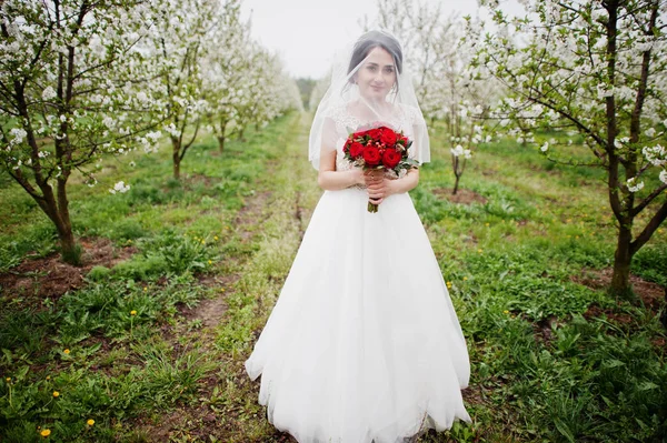 Retrato de una dulce novia joven sosteniendo ramo rojo en los blos —  Fotos de Stock