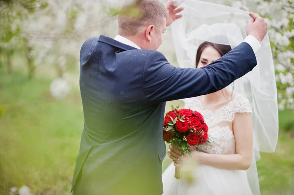 Gorgeous nygifta par poserar i den blommande trädgården på — Stockfoto