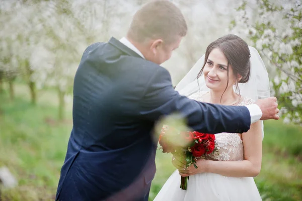 Preciosa pareja recién casada posando en el floreciente jardín en —  Fotos de Stock