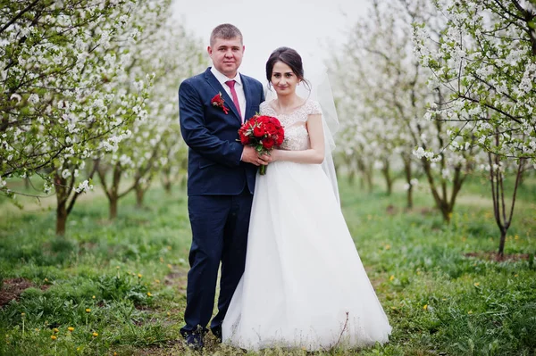 Gorgeous nygifta par poserar i den blommande trädgården på — Stockfoto