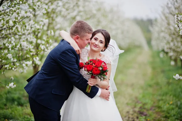 Gyönyörű újonnan házas pár pózol a virágzó kert, a — Stock Fotó