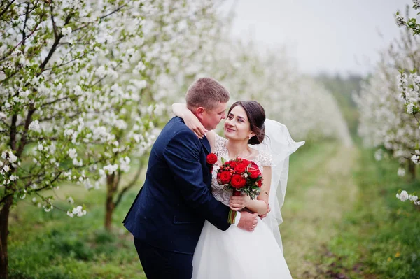 Preciosa pareja recién casada posando en el floreciente jardín en — Foto de Stock
