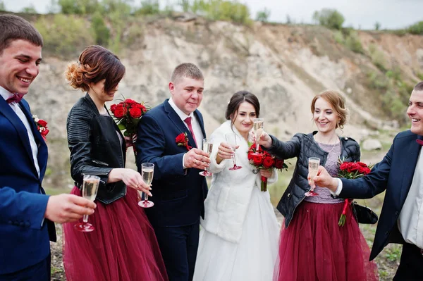 Fantastische Hochzeitspaar und Brautjungfern mit Trauzeugen trinken — Stockfoto