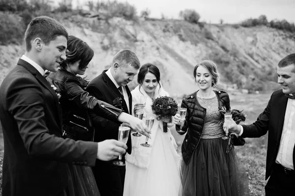 Fantástica pareja de bodas y damas de honor con los padrinos bebiendo — Foto de Stock