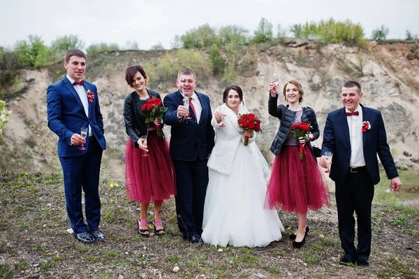 Fantastic wedding couple and bridesmaids with groomsmen drinking — Stock Photo, Image