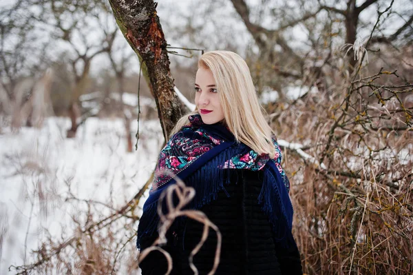 Menina loira com cachecol bordado à mão posou no dia de inverno. Wom... — Fotografia de Stock