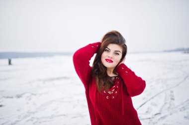 Kırmızı kış da da donmuş gölün karşı esmer artı boyutu modeli