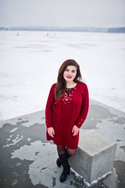 Kırmızı kış da da donmuş gölün karşı esmer artı boyutu modeli