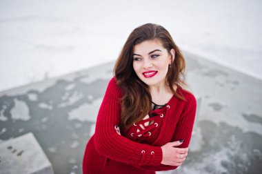 Kırmızı kış da da donmuş gölün karşı esmer artı boyutu modeli