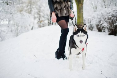 El altında bir kız kış gününde tasmalı Husky köpek.