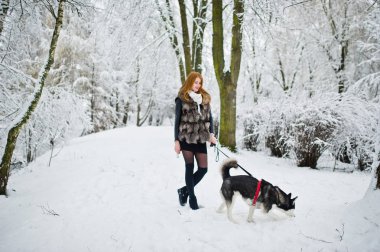 Kırmızı saçlı kız kış gününde Park ile husky köpek yürüyüş.
