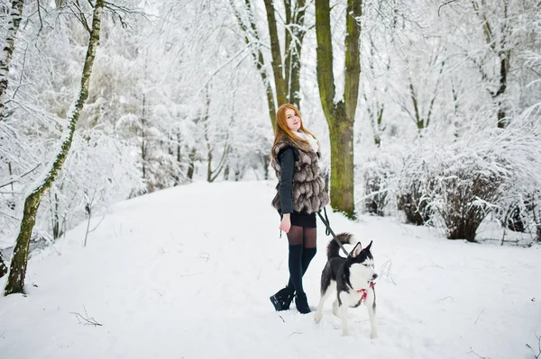 Punatukkainen tyttö kävelee puistossa husky koiran kanssa talvipäivänä . — kuvapankkivalokuva