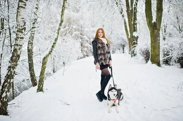 Fille aux cheveux rouges marchant au parc avec chien husky le jour de l'hiver . — Photo