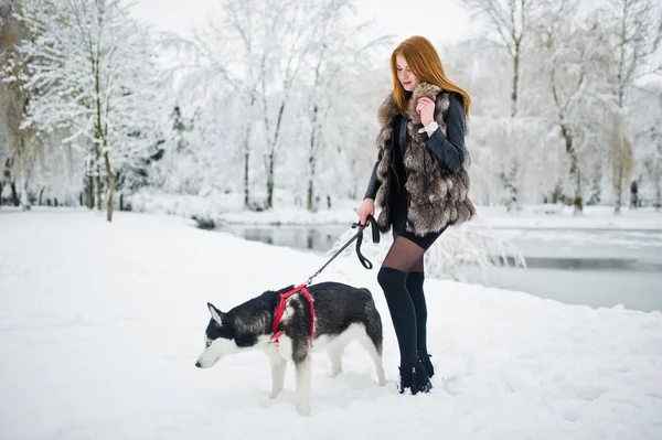 Punatukkainen tyttö kävelee puistossa husky koiran kanssa talvipäivänä . — kuvapankkivalokuva
