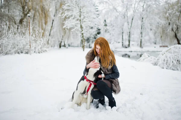 Menina de cabelos vermelhos andando no parque com cão husky no dia de inverno . — Fotografia de Stock