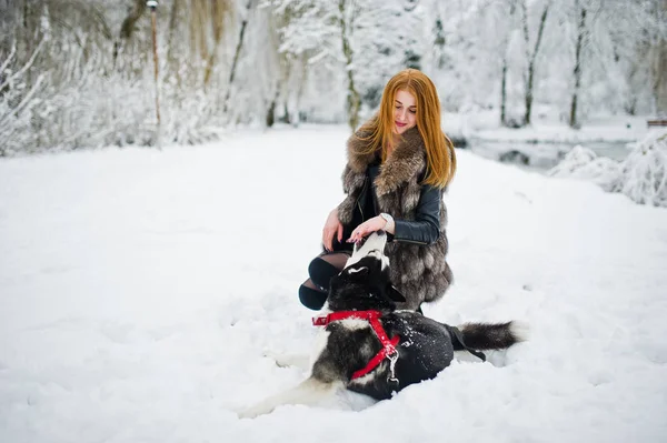Chica pelirroja caminando en el parque con perro husky en el día de invierno . —  Fotos de Stock