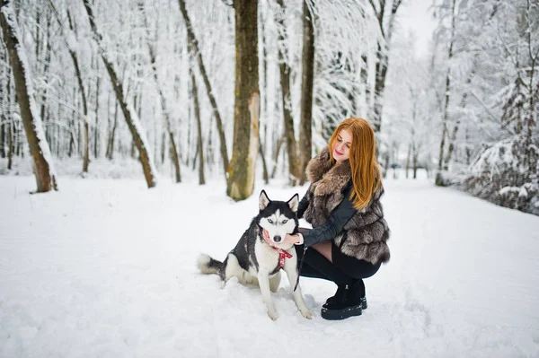 Menina de cabelos vermelhos andando no parque com cão husky no dia de inverno . — Fotografia de Stock