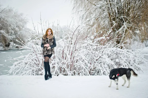 Menina de cabelos vermelhos andando no parque com cão husky no dia de inverno . — Fotografia de Stock